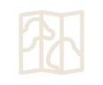 Image module